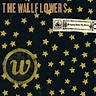 Graded on a Curve: The Wallflowers, Bringing Down the Horse