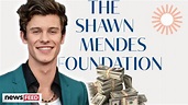 Shawn Mendes Raises Over $1 Million For His New Foundation! - YouTube