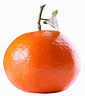 Download Tangerines PNG Image for Free