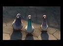 Disney España Escena de Bolt Las palomas - YouTube