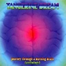 TANGERINE DREAM Journey Through A Burning Brain (Anthology) reviews