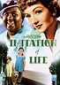 Imitation of Life | DVD | Free shipping over £20 | HMV Store