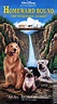 Homeward Bound: The Incredible Journey | VHSCollector.com