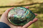 Mother-of-pearl shown to accurately record ancient ocean temperatures ...