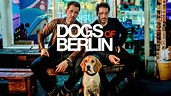 Dogs of Berlin Season 2 Renewal Status and Release Date: | Alltvupdates