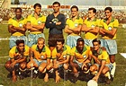 Brasil (1966). | National football teams, Football photos, Football team