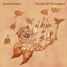James Yorkston - The Year Of The Leopard | Miloco Studios