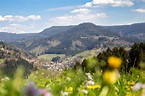 Bad Peterstal-Griesbach | Schwarzwald Tourismus GmbH