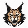 Lynx mascot logo. Head of lynxes isolated vector illustration. — Stock ...