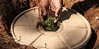 Cocoon-depósito de agua biodegradable para la planta - Reforestex