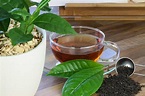 Camellia sinensis, la planta del té en tu jardín