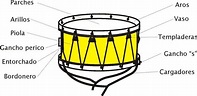 Qué es un tambor, sus partes, tipos, características y su historia