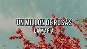 La Mafia - Un Millón de Rosas ((Letra)) - YouTube