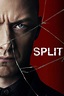 Split (2016) Movie Poster - ID: 54014 - Image Abyss