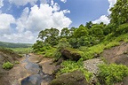 View of the Tropical Forest in the Sanjay Gandhi National Park Mumbai ...