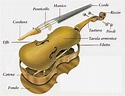 La vita comincia a 40 anni: Come nasce un violino (prima parte)