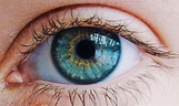 El ojo y sus partes -anatomía del ojo - CuidarLosOjos.com 👀
