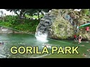 Gorila Park - YouTube