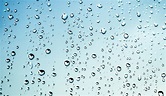 Foto de stock gratuita sobre agua, gotas de agua, gotas de lluvia