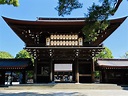 Meiji Shrine - A Spiritual Oasis | Tall Girl in Japan