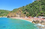 Top 7 Beaches in Montenegro | Montenegro beach, Montenegro travel ...