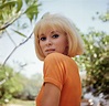 DIAPORAMA - Mireille Darc : mille vies en une