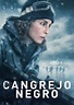 Pelicula Cangrejo Negro (Black Crab) (2022) online o Descargar HD