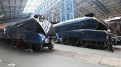 Fastest steam locomotive Mallard at anniversary gathering - BBC News