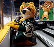 Ranking the NHL's Mascots | National hockey league, Mascot, Nhl