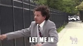 Let Me In Eric Andre GIF - LetMeIn EricAndre WannaComeIn - Discover ...