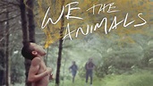 We the Animals | Film 2018 | Moviebreak.de