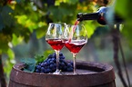 France is renowned for its wine—for good reason. We’ve rounded up a ...