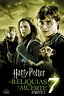 Harry Potter y las Reliquias de la Muerte - Parte 1 (2010) - Pósteres — The Movie Database (TMDB)