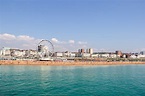 THE 15 BEST Things to Do in Brighton (Updated 2024)