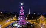 Árvore de Natal do Ibirapuera será inaugurada neste sábado em SP | São ...