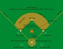 Baseball Positions Diagram - Cliparts.co