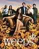 Weeds season 2 in HD 720p - TVstock