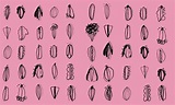 Viva la vulva: why we need to talk about women’s genitalia | Sex | The ...