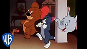 Tom y Jerry en Español | Jerry y Jumbo forman un equipo | WB Kids - YouTube