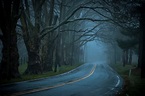 Fondos de pantalla : lluvia, clima, niebla, Nikon, oscuridad, 365, Hcs ...