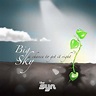 THE SYN Big Sky - A Chance to Get It Right reviews