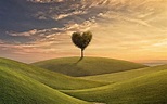 [100+] Love Nature Wallpapers | Wallpapers.com