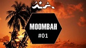 Moombahton Party Mix | Best Moombahton Tracks - YouTube