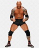 Dave Bautista Royal Rumble (2014) World Heavyweight Championship WWE ...