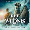 Filmkritik: Ruf der Wildnis - Kinomeister
