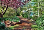 serenity gardens - Google Search | Serenity garden, Gardening ...