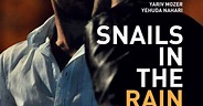 Papel Filosofal: Filme: Snails In The Rain (Caracóis na Chuva)