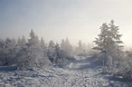 Sidetracked Short Breaks: Urho Kekkonen National Park, Lapland, Finland