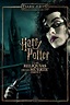 Harry Potter y las Reliquias de la Muerte - Parte 1 (2010) - Carteles ...