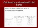 CalcificacióN Y MineralizacióN